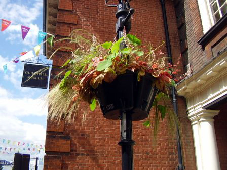 The blooming of Rochester High Street